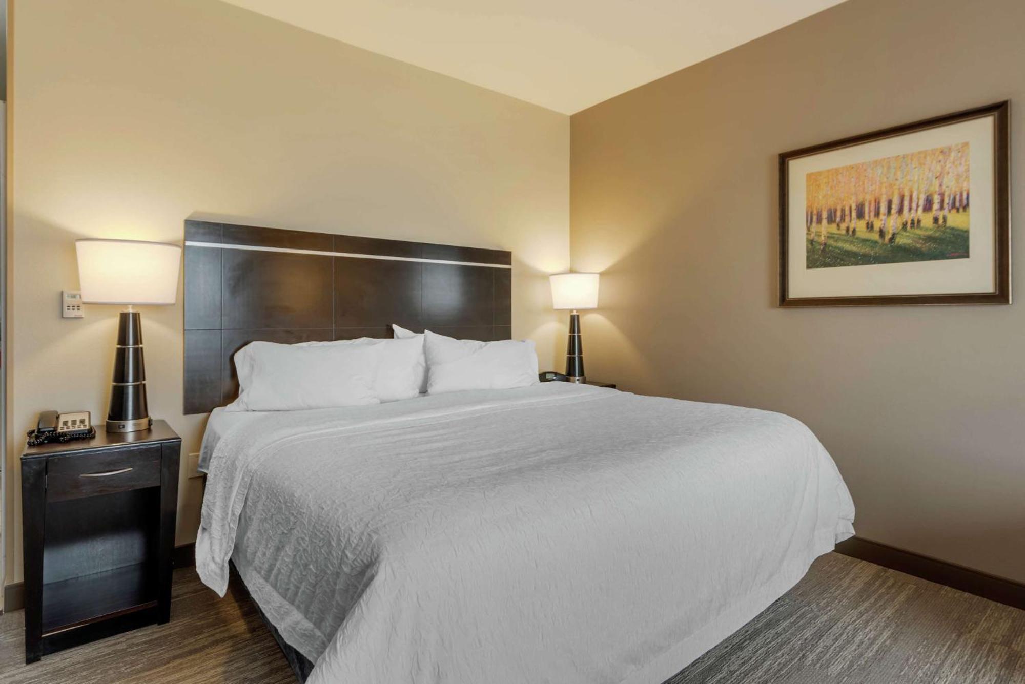 Hampton Inn Alamosa Bagian luar foto